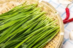 【瘦身】十种刮油食物越吃越瘦，减肥人士必看，瘦身指南！