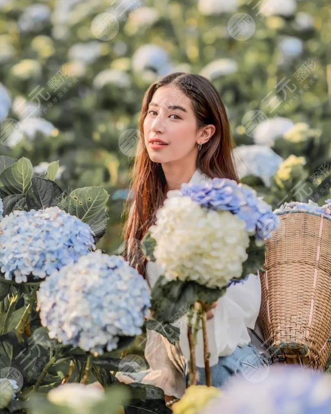 马里奥的绯闻女朋友