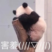 太腼腆怎么办？如何克服社交恐惧心理？腼腆形成的原因有哪些？