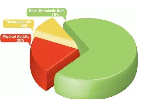 基础代谢率减肥法