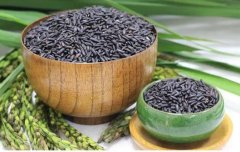 黑米减肥法有用吗？优点有哪些？该如何做好饮食搭配？