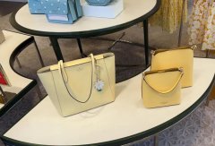 kate spade和蔻驰哪个好？两款对比总结带你详细了解~