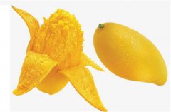 经期可以吃芒果吗？月经期不能吃的食物有哪些？如何护理？