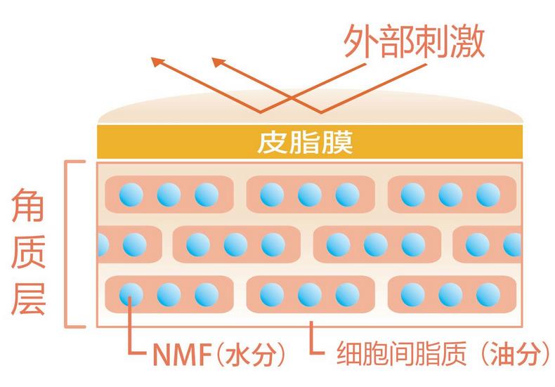 如何修复角质层脸部