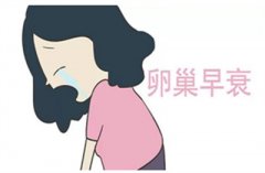 卵巢早衰的现象有哪些？保养卵巢能够吃些什么？