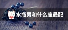 水瓶男和什么座最配？4个绝配的星座盘点！看看有你的星座吗？