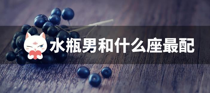 水瓶男和什么座最配