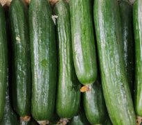 黄瓜有哪些功效？抗衰老、降血糖、减肥等作用！