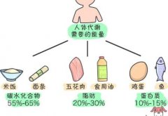 碳水减肥怎么吃？每餐这样吃万能搭配不出错！