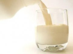 补钙吃什么食物？牛奶、鱼虾以及紫菜这些食物都很不错！