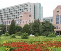 乌海人民医院去黄褐斑多少钱？