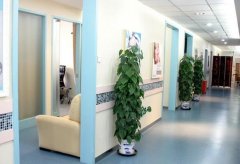 北京医院治痤疮专家医生哪个好？