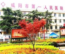 咸阳整形医院排行榜怎么样？
